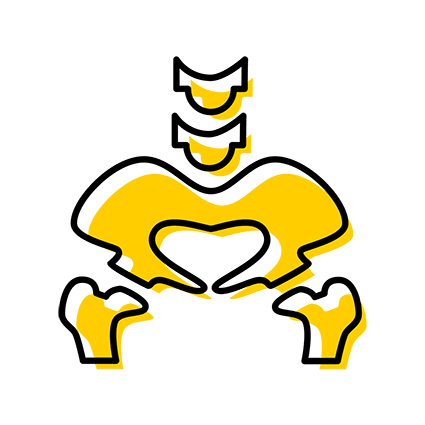 Icon of skeleton pelvis