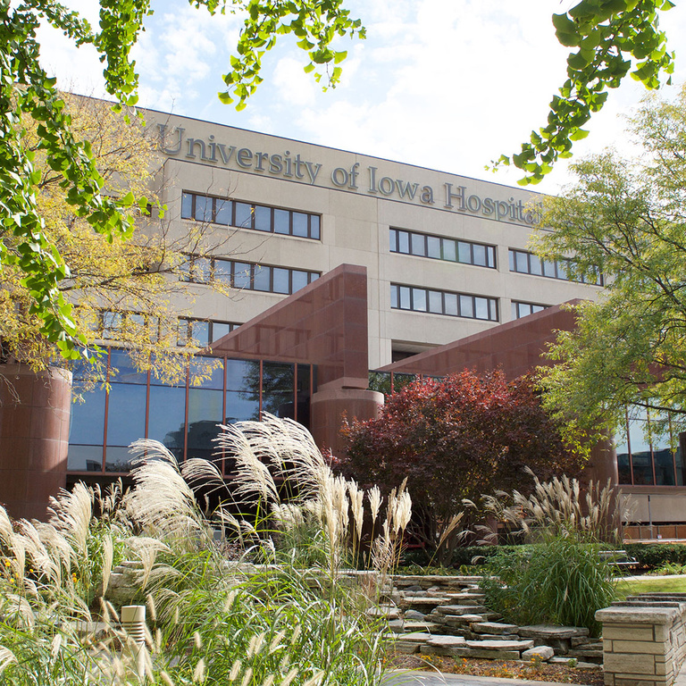 Department of Radiology | Carver College of Medicine | The University ...